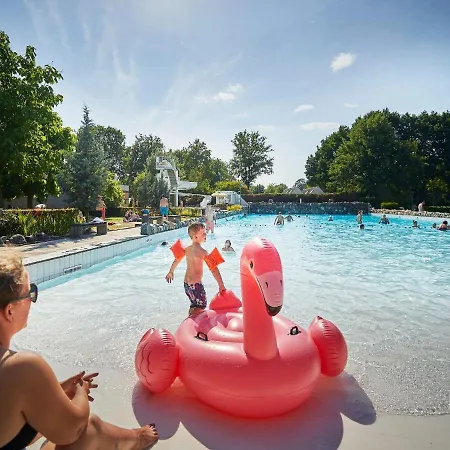 Comfortable In Limburg With Shared Pool Roggel