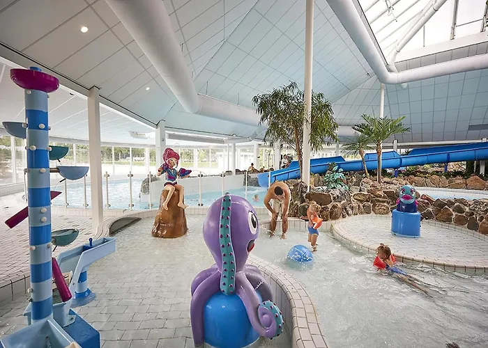 In Limburg With Subtropical Pool Roggel