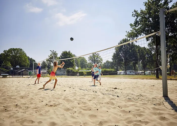 Villa In Limburg With Subtropical Pool Roggel