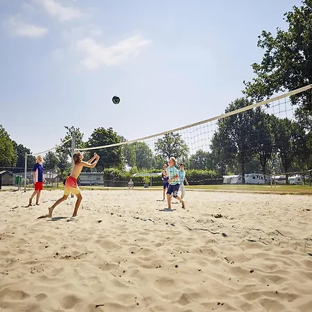 Villa In Limburg With Subtropical Pool Roggel